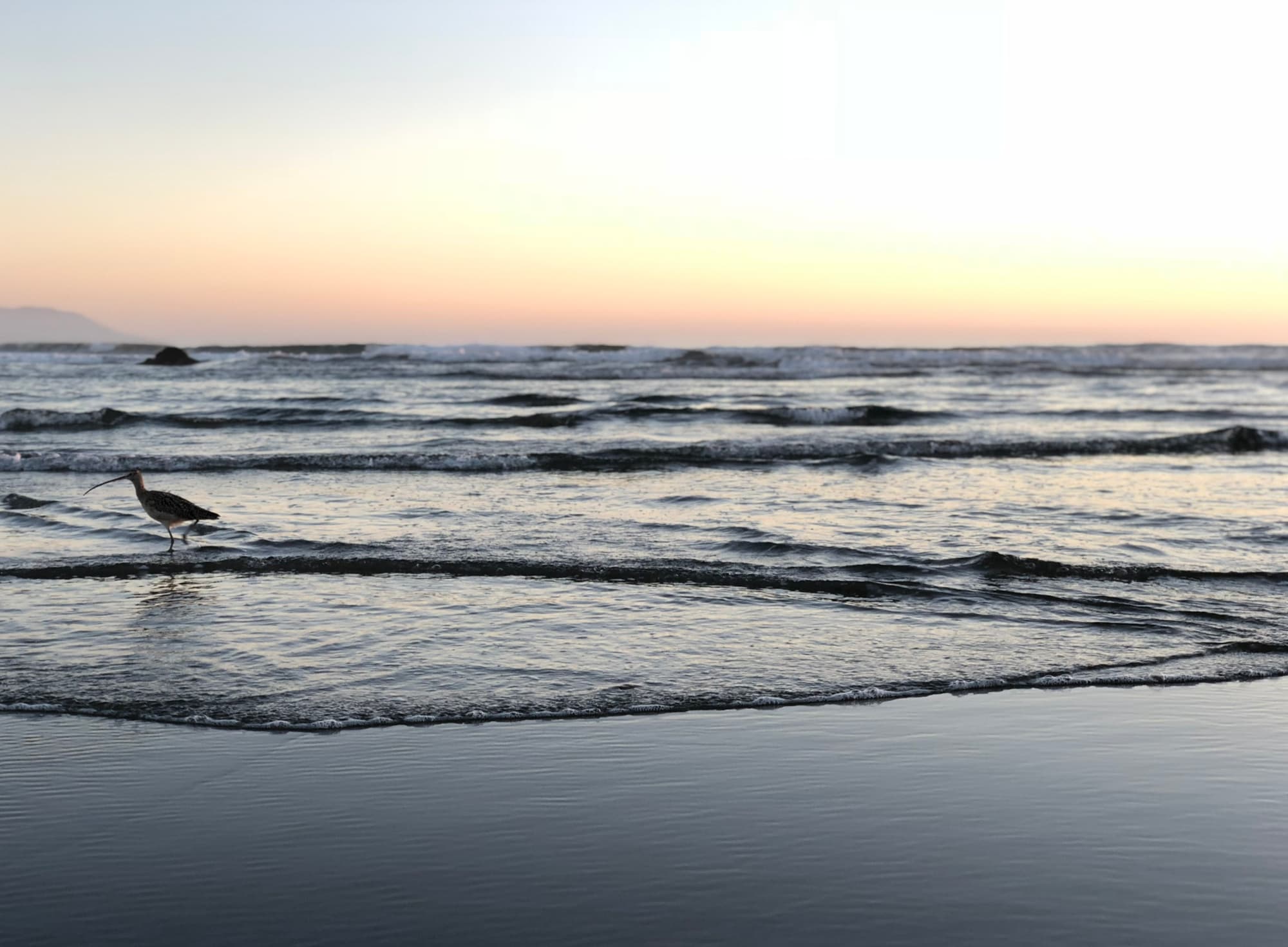 Expo vs React Native Bare Workflow: Making the Right Choice