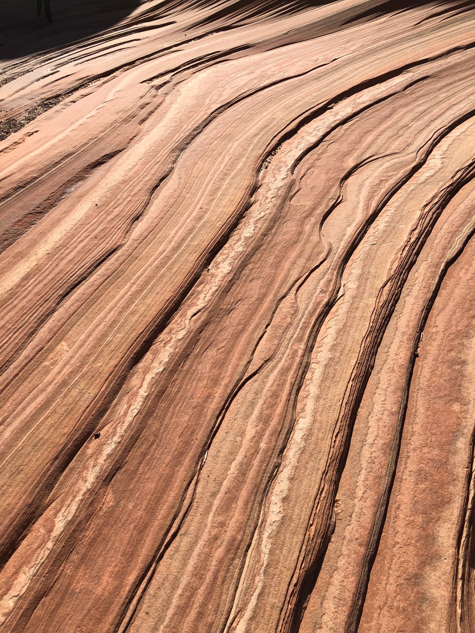 React Native Series: Key differences between NativeWind and Tailwind